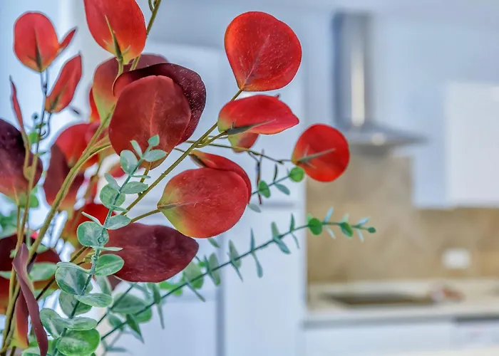 דירה Apto Gran Capitan Center I - Parking *