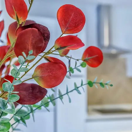 Apartamento Apto Gran Capitán Center I - Parking *